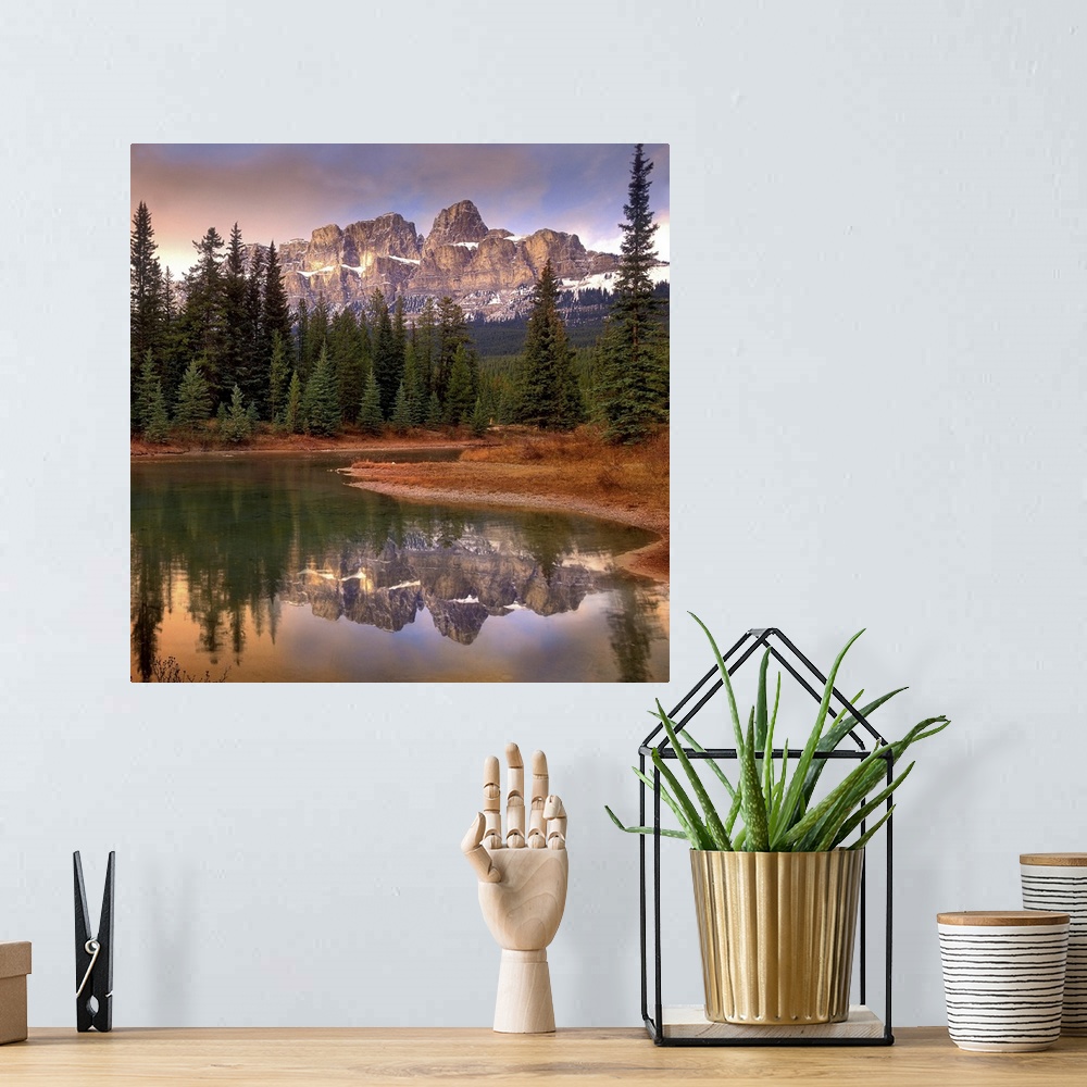 A bohemian room featuring Large photograph shows a small body of water surrounded by a thick woodland filled with tall tree...