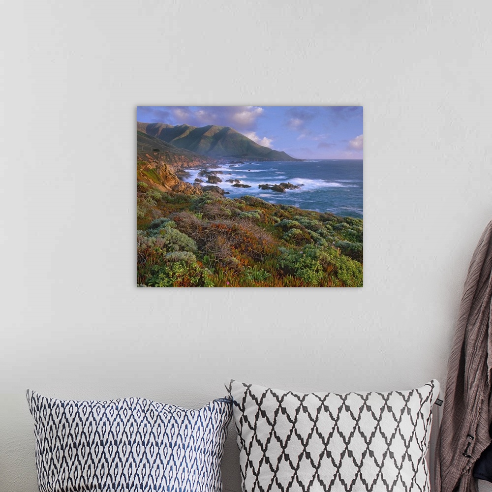 A bohemian room featuring Cliffs and the Pacific Ocean, Garrapata State Beach, Big Sur, California