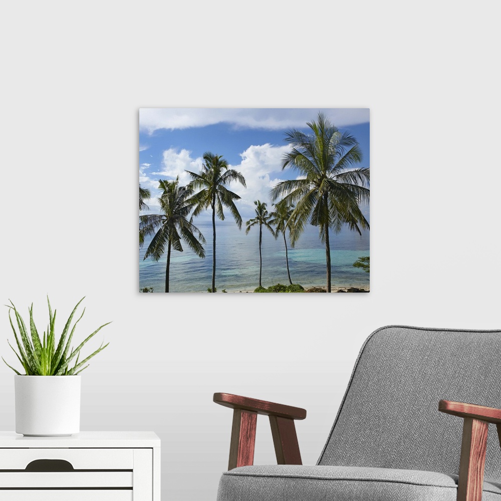 A modern room featuring Coconut Palm (Cocos nucifera) trees, Bikini Beach, Panglao Island, Philippines