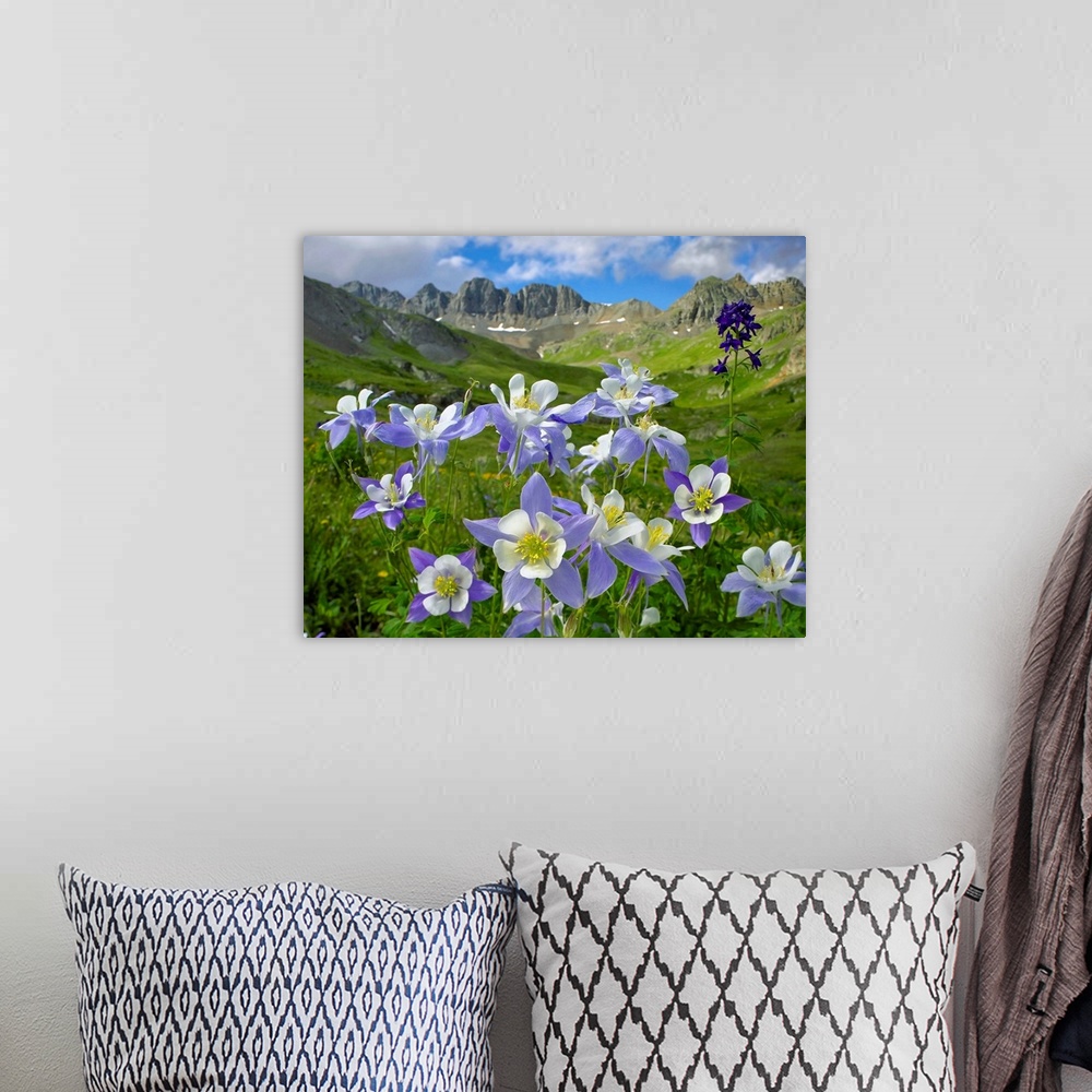 A bohemian room featuring This landscape wall hanging is an oversized photograph of a close up of flowers with the valley i...