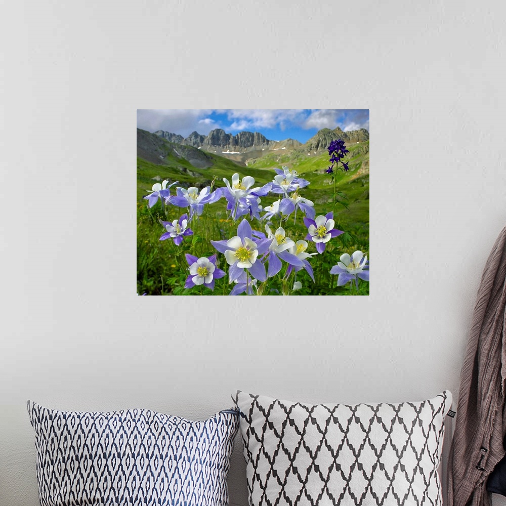 A bohemian room featuring This landscape wall hanging is an oversized photograph of a close up of flowers with the valley i...