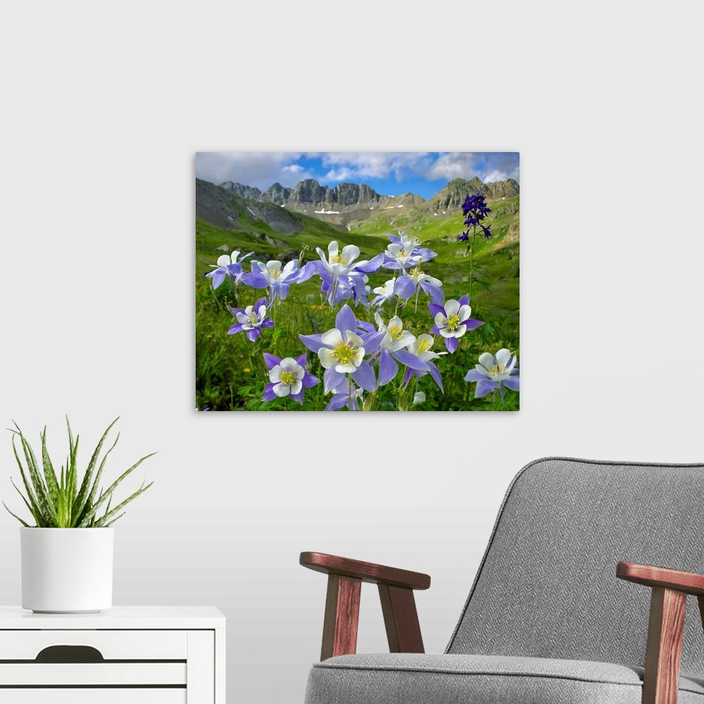 A modern room featuring This landscape wall hanging is an oversized photograph of a close up of flowers with the valley i...