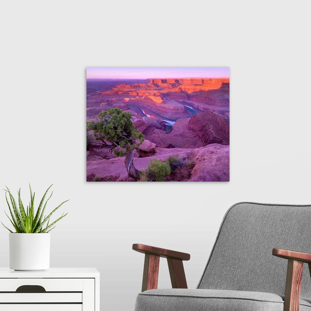 A modern room featuring Colorado River flowing through canyons of Dead Horse Point State Park, Utah