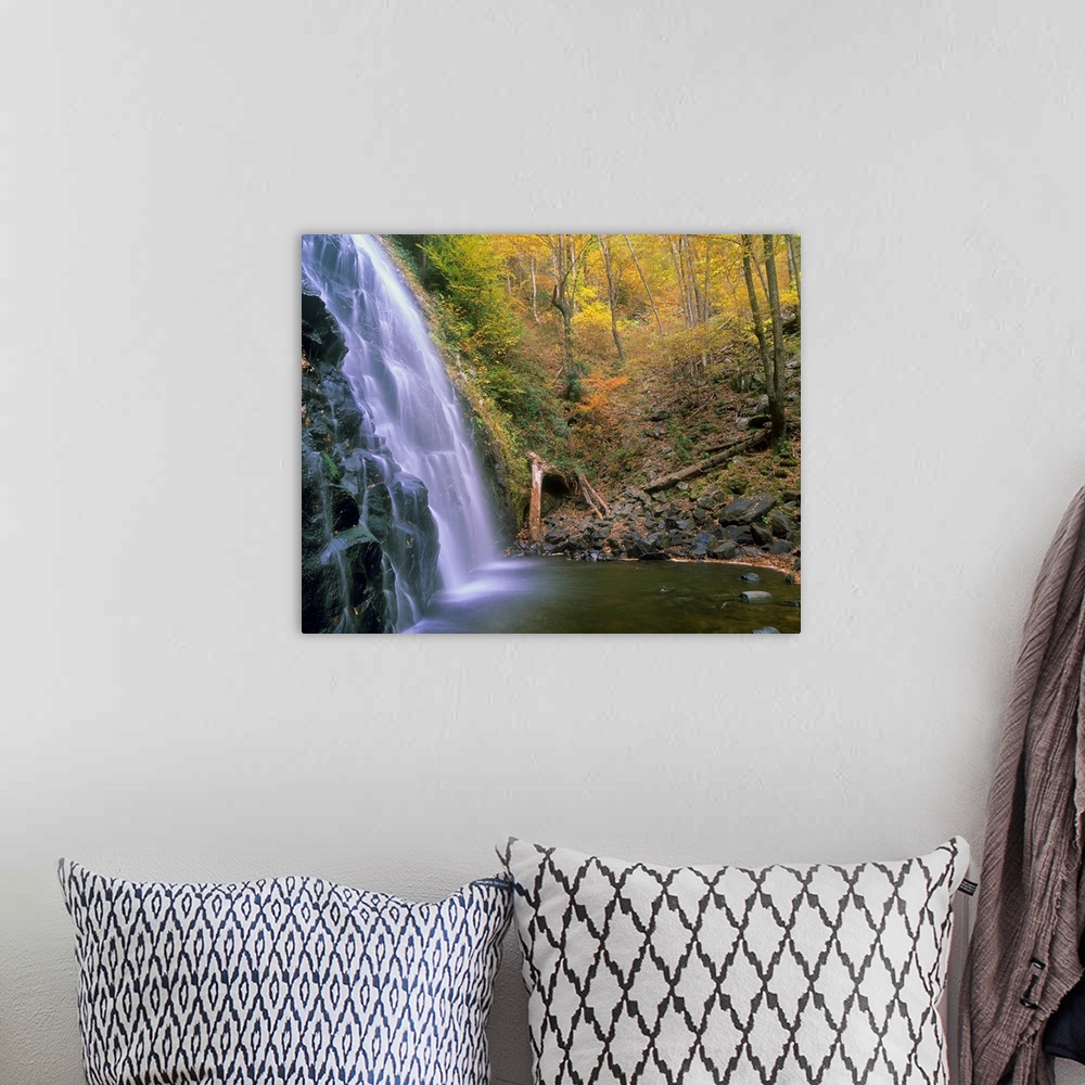 A bohemian room featuring Crabtree Falls cascading into stream, Blue Ridge Parkway, North Carolina