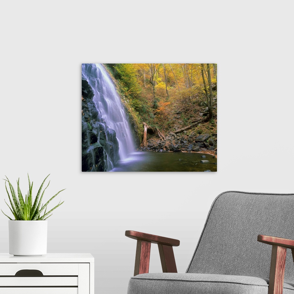 A modern room featuring Crabtree Falls cascading into stream, Blue Ridge Parkway, North Carolina