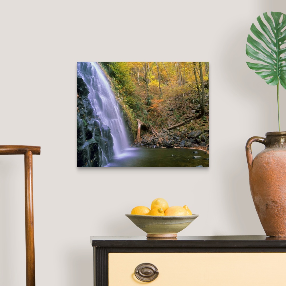 A traditional room featuring Crabtree Falls cascading into stream, Blue Ridge Parkway, North Carolina
