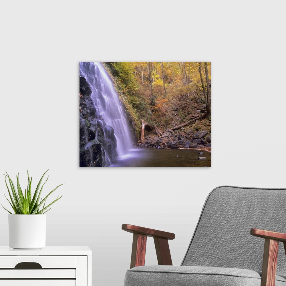 A modern room featuring Rocky waterfall and creek in a grove of autumn-colored trees in the Southeastern United States.