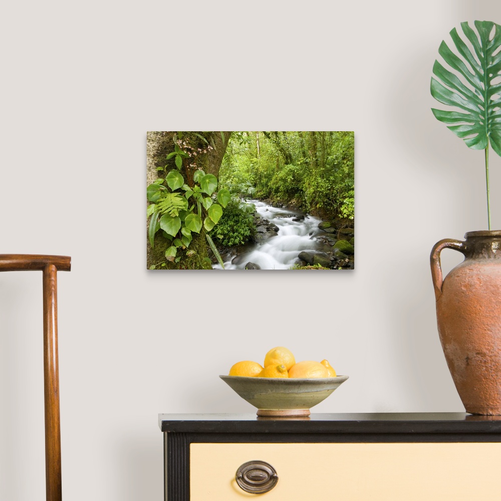 A traditional room featuring scenic, stream, costa rica