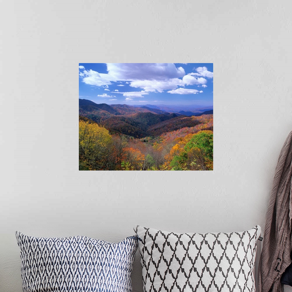 A bohemian room featuring Deciduous forest, Thunderstruck Ridge Overlook, Blue Ridge Parkway, North Carolina