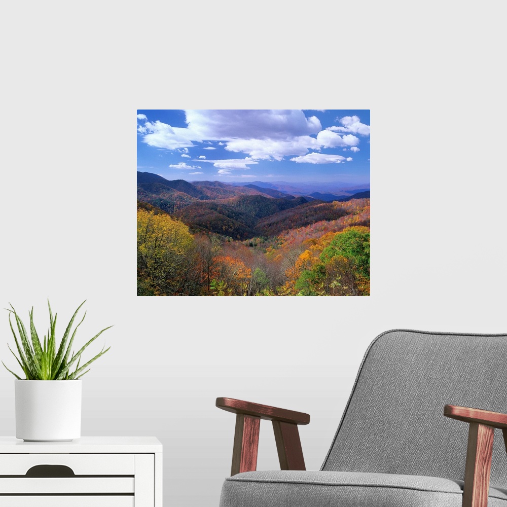 A modern room featuring Deciduous forest, Thunderstruck Ridge Overlook, Blue Ridge Parkway, North Carolina