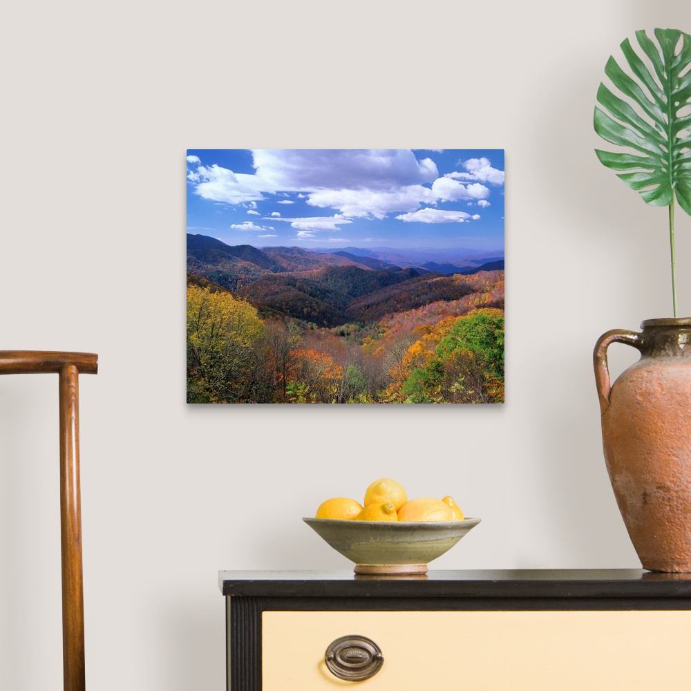 A traditional room featuring Deciduous forest, Thunderstruck Ridge Overlook, Blue Ridge Parkway, North Carolina