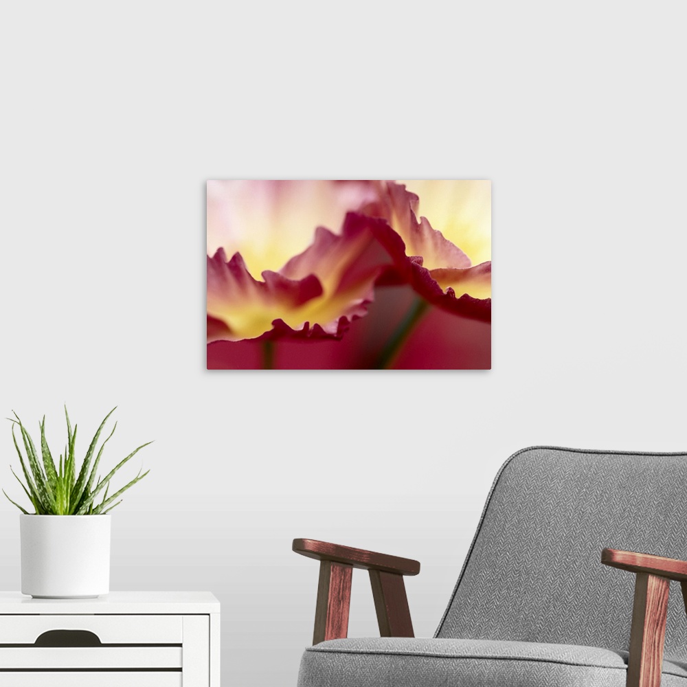 A modern room featuring A close up photograph of details of flower blossoms taken with a shallow depth of field and give ...