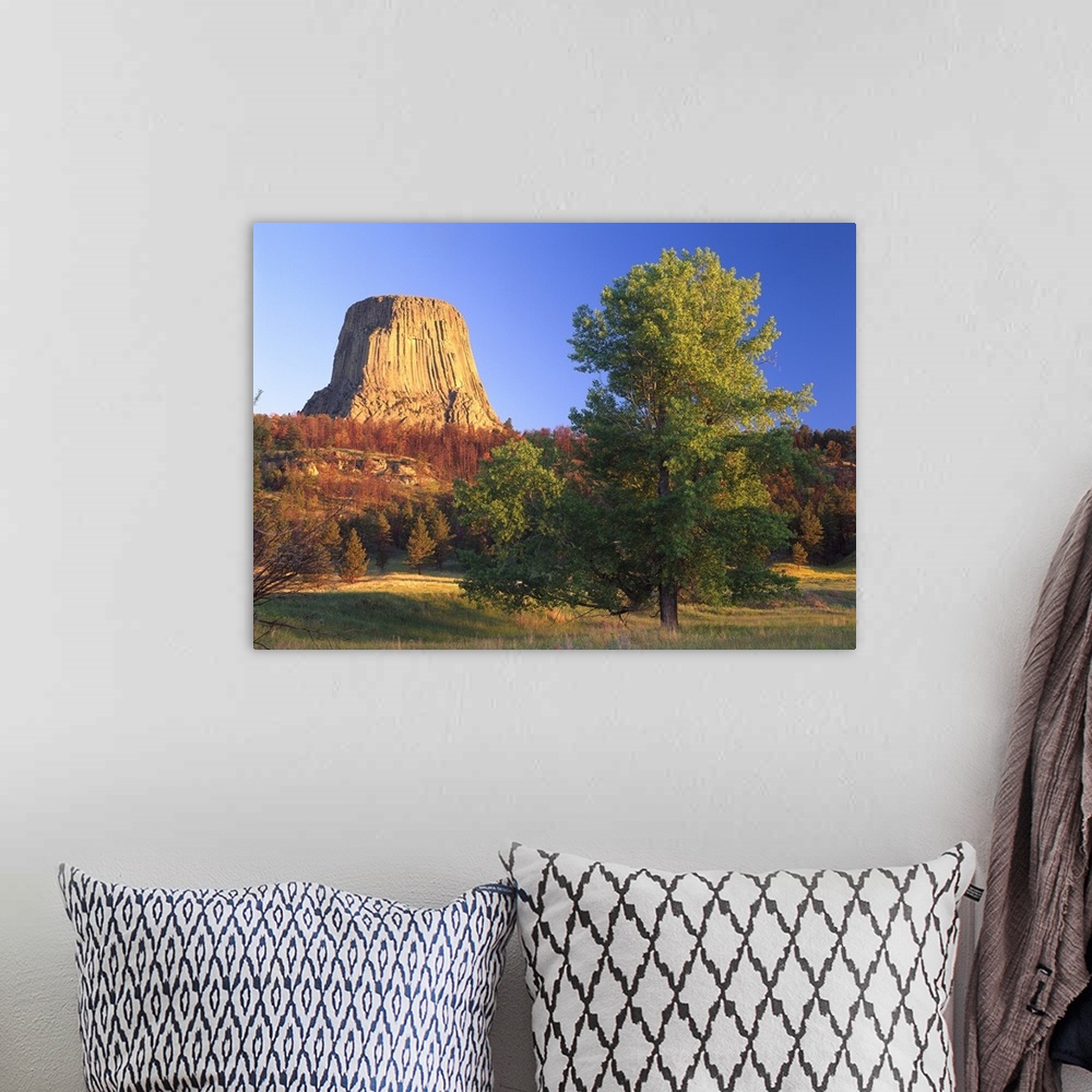 A bohemian room featuring Devil's Tower National Monument showing famous basalt tower, Wyoming