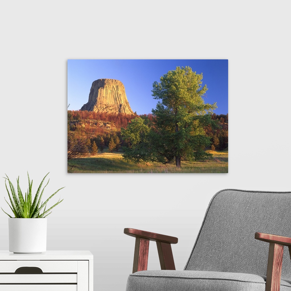 A modern room featuring Devil's Tower National Monument showing famous basalt tower, Wyoming
