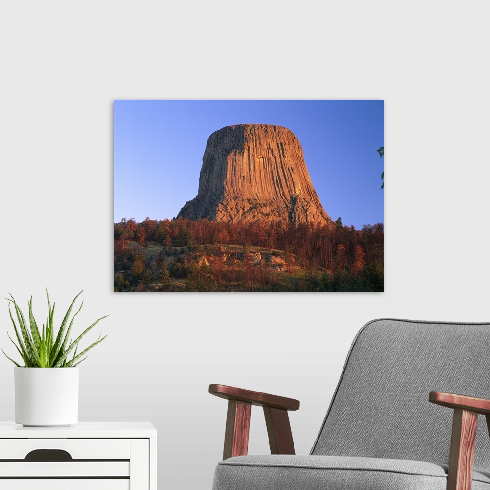 A modern room featuring Devil's Tower National Monument showing famous basalt tower, Wyoming