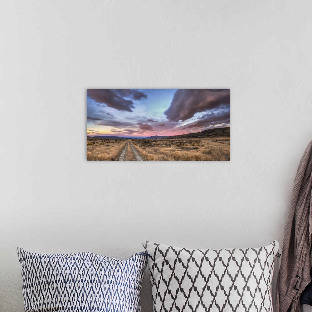A bohemian room featuring Road to Nowhere, dawn panorama of farm track, St Bathans, Central Otago, New Zealand