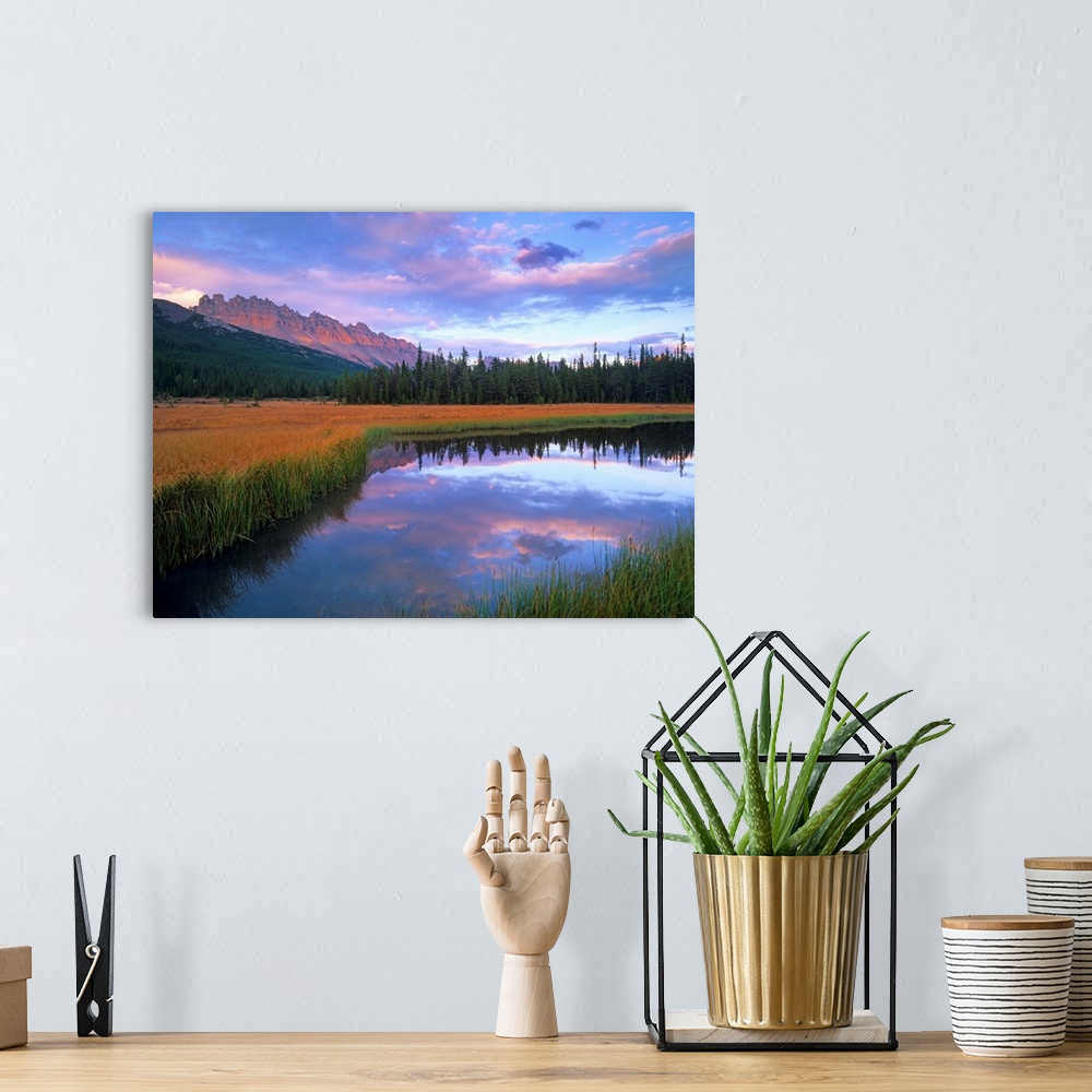 A bohemian room featuring Dolomite Peak and Bow River backwaters, Banff National Park, Alberta