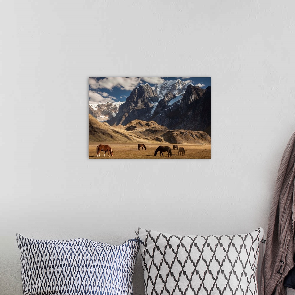 A bohemian room featuring Carhuacocha lake, horses grazing under Siula Grande 6265 metres, Andes mountains, Cordillera Huay...