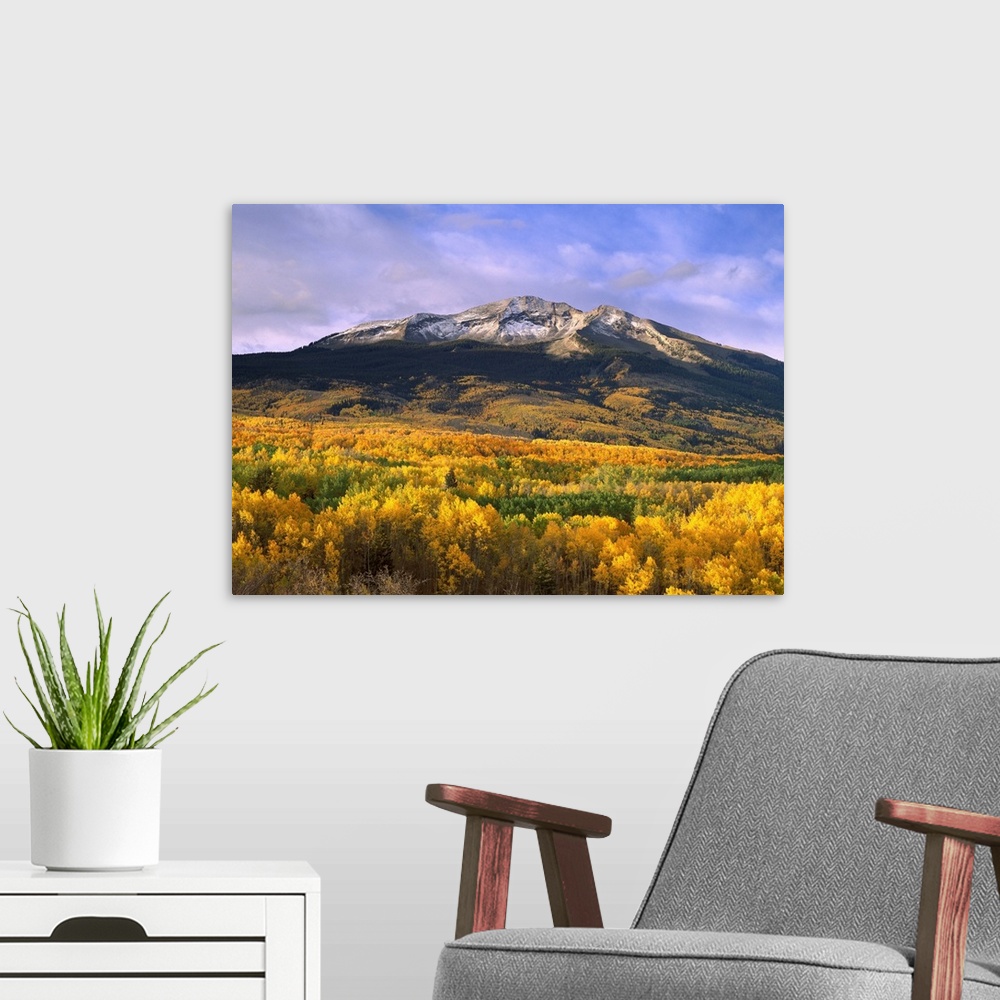 A modern room featuring East Beckwith Mountain and trees in fall color, Gunnison National Forest, Colorado
