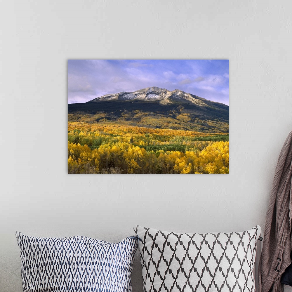 A bohemian room featuring Beautiful nature photograph of East Beckwith Mountain towering above orange and yellow fall trees...
