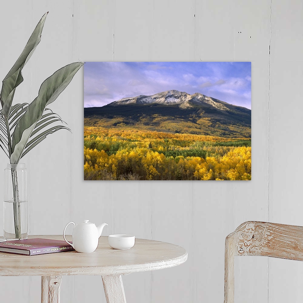 A farmhouse room featuring Beautiful nature photograph of East Beckwith Mountain towering above orange and yellow fall trees...