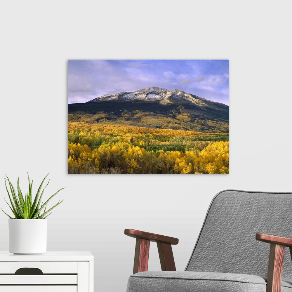 A modern room featuring Beautiful nature photograph of East Beckwith Mountain towering above orange and yellow fall trees...