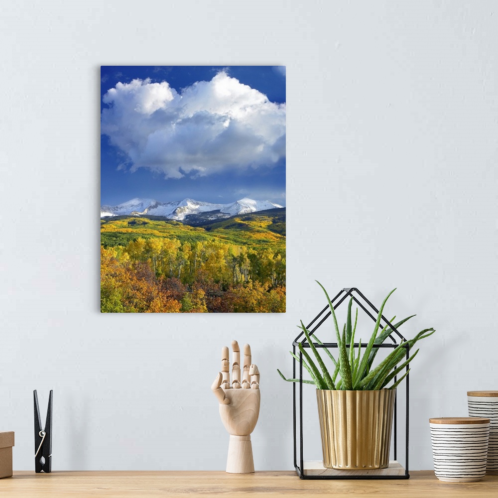 A bohemian room featuring Tall canvas print of beautiful fall foliage at the base of snowy mountains under a blue sky with ...