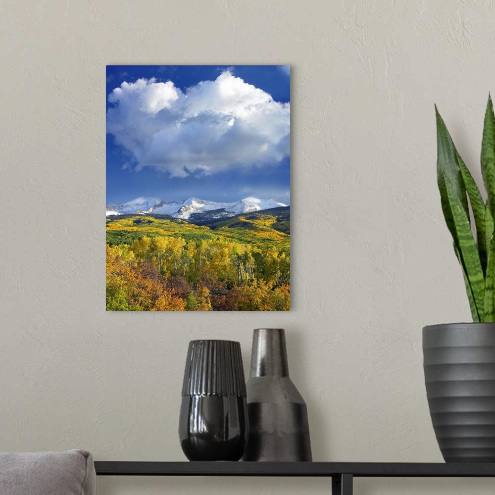 A modern room featuring Tall canvas print of beautiful fall foliage at the base of snowy mountains under a blue sky with ...