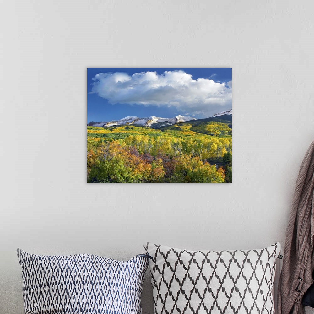 A bohemian room featuring Photograph of snow covered mountain range flanked by fall colored Aspen forests under cumulus clo...