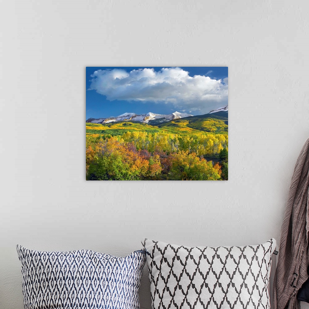 A bohemian room featuring East Beckwith Mountain flanked by Aspen forests under cumulus clouds, Colorado