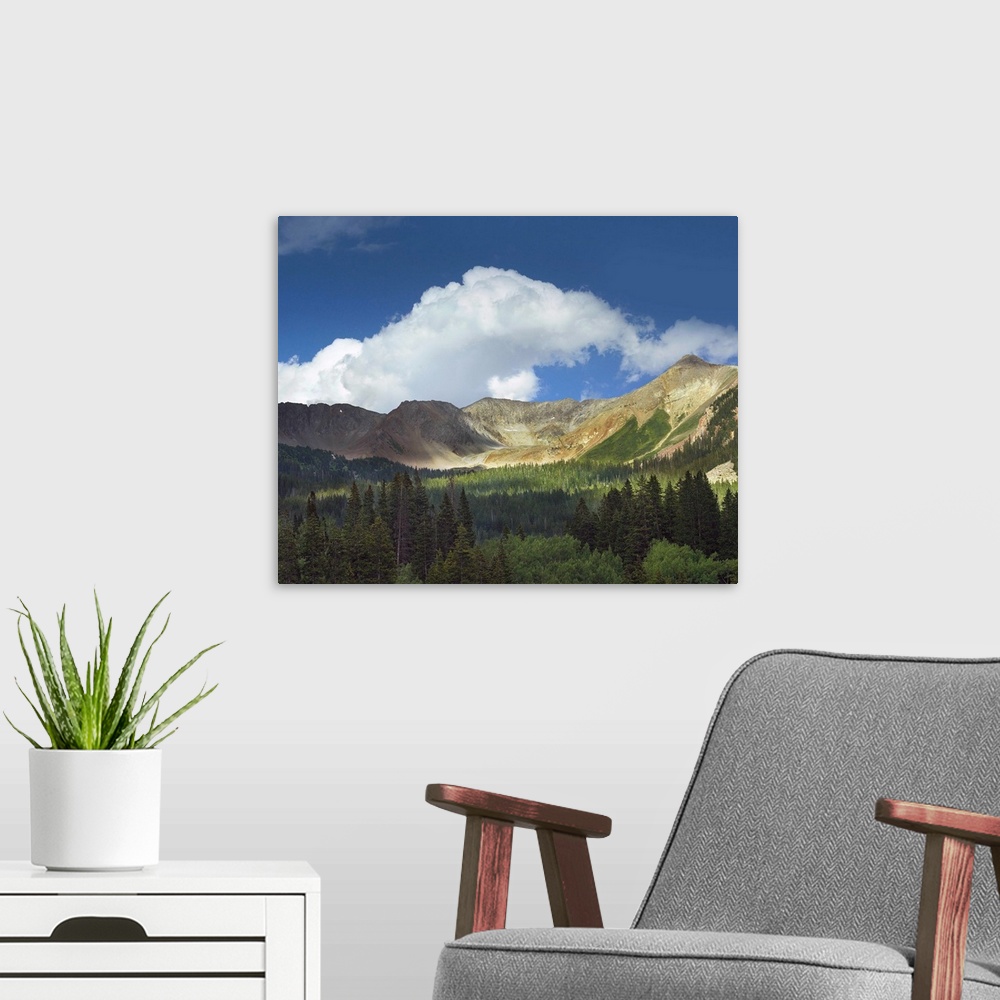 A modern room featuring Elk Mountains near Crested Butte, Colorado