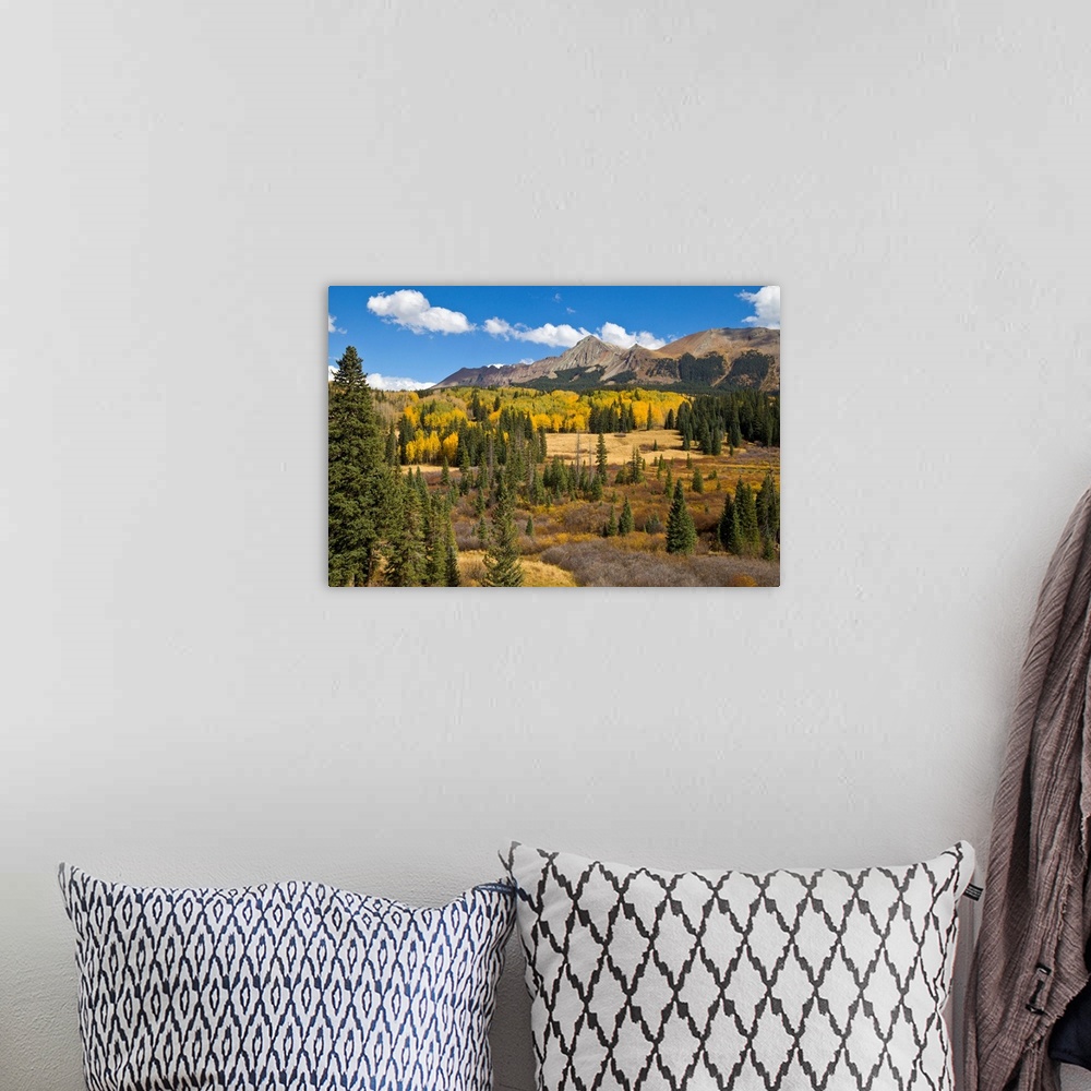 A bohemian room featuring Fall Meadow Rocky Mountains Colorado