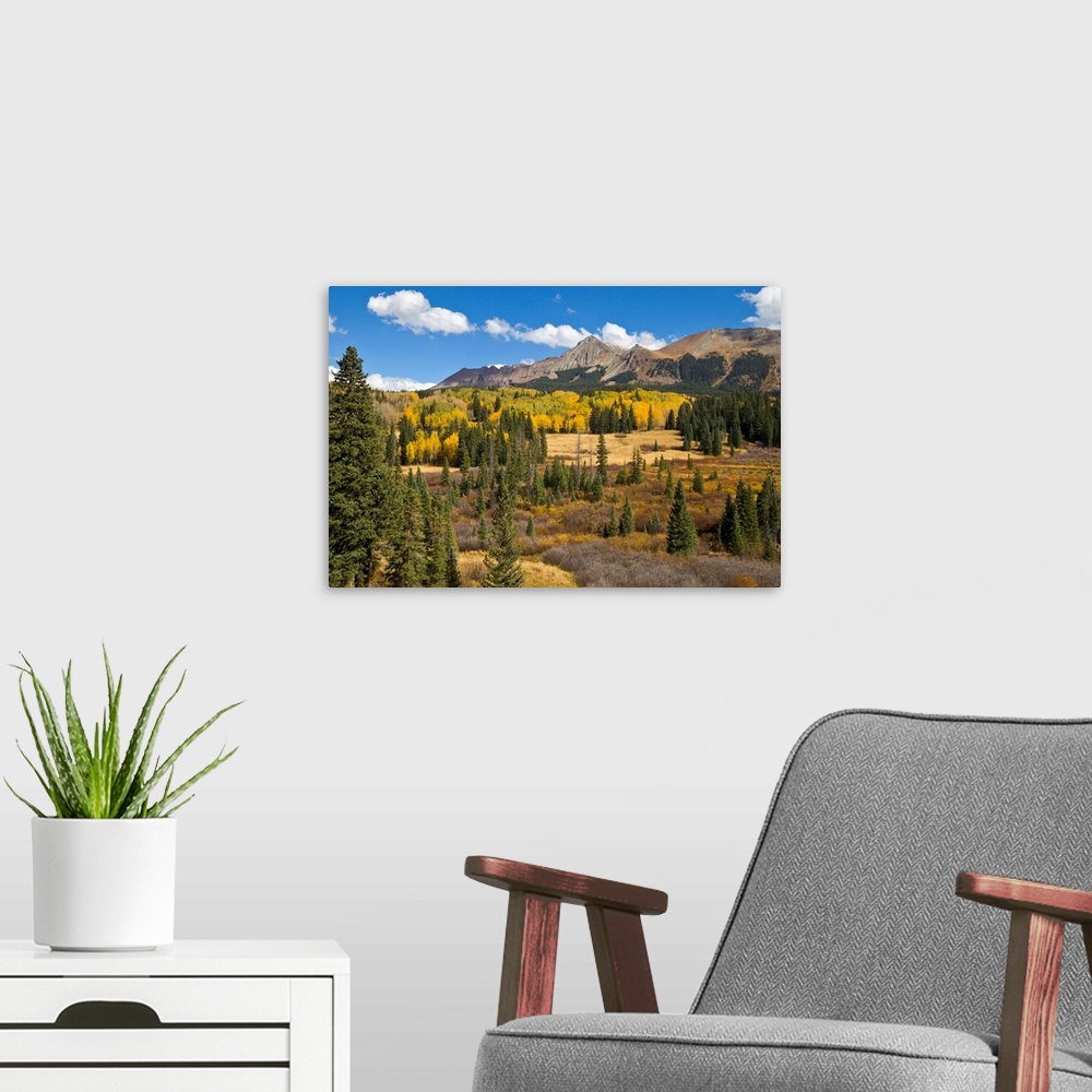 A modern room featuring Fall Meadow Rocky Mountains Colorado