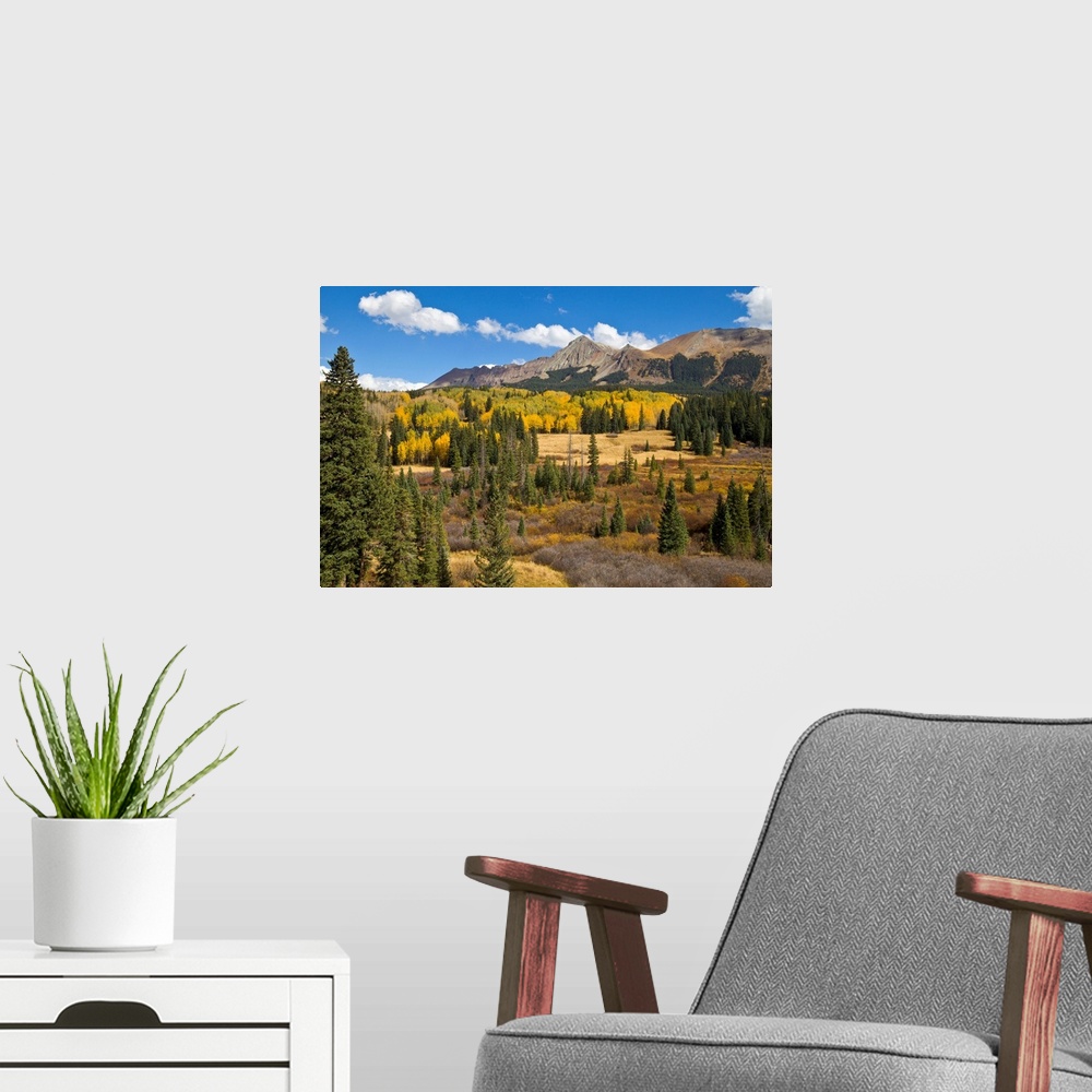 A modern room featuring Fall Meadow Rocky Mountains Colorado