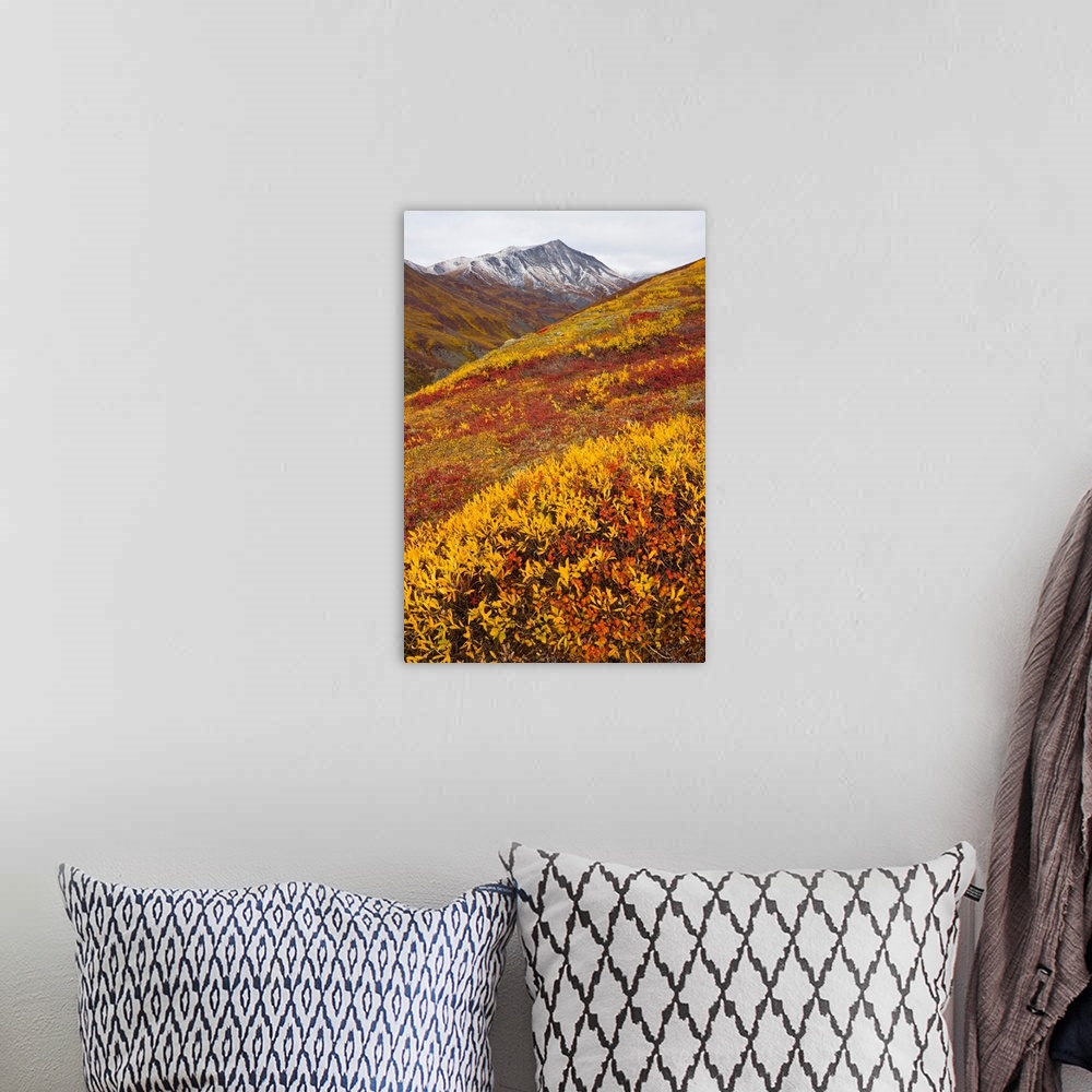 A bohemian room featuring Fall Tundra and First Snow Brooks Range