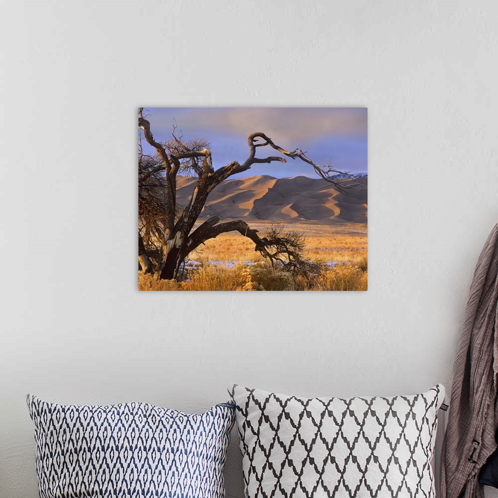 A bohemian room featuring Grasslands and dunes, Great Sand Dunes National Monument, Colorado