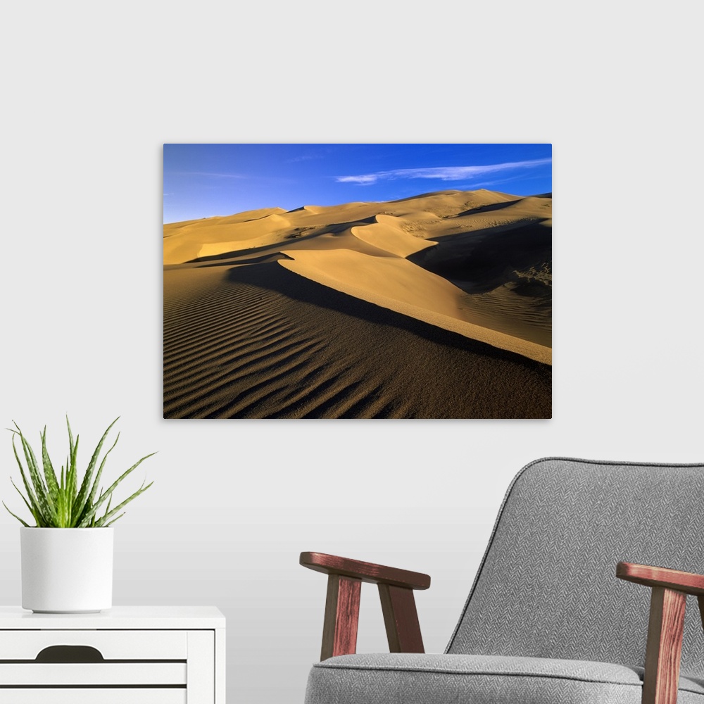 A modern room featuring Great Sand Dunes National Monument, Colorado