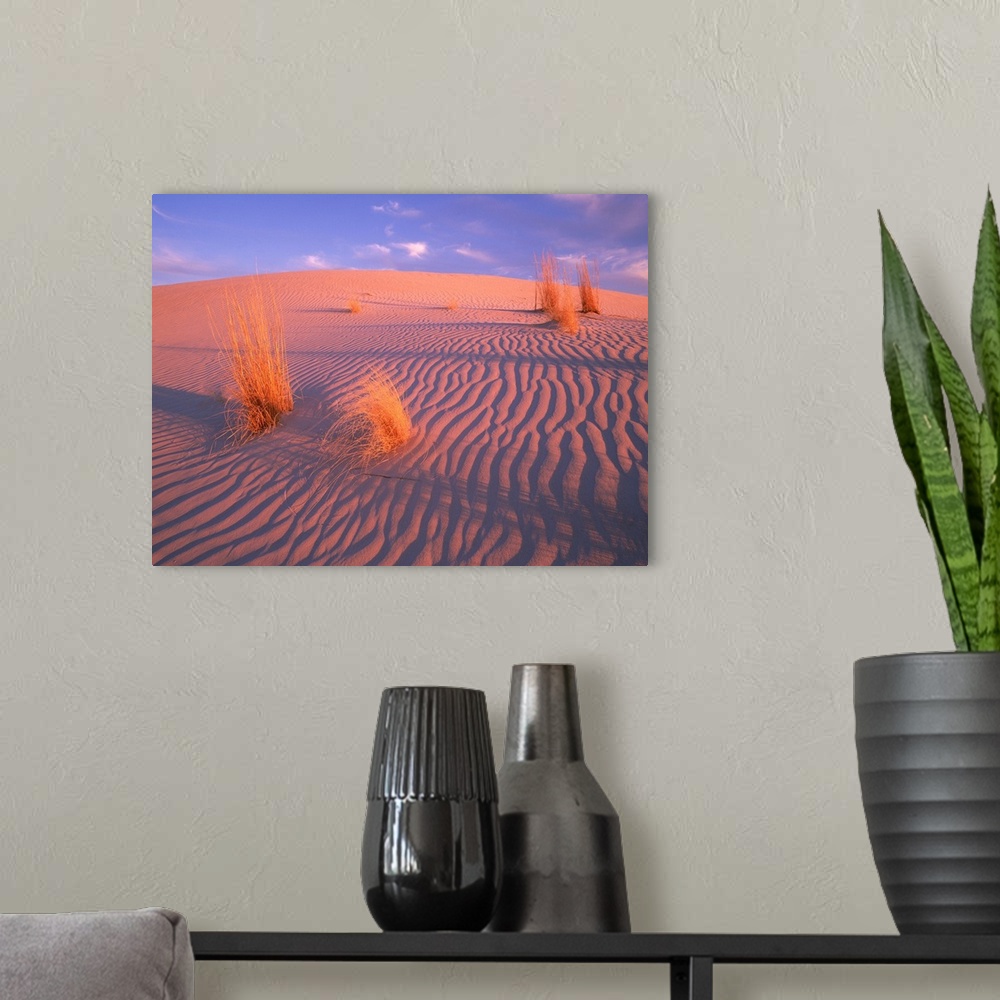 A modern room featuring Gypsum dunes, Guadalupe Mountains National Park, Texas