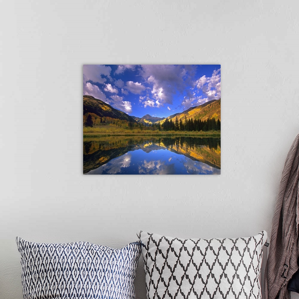 A bohemian room featuring Haystack Mountain reflected in beaver pond, Maroon Bells, Snowmass Wilderness, Colorado