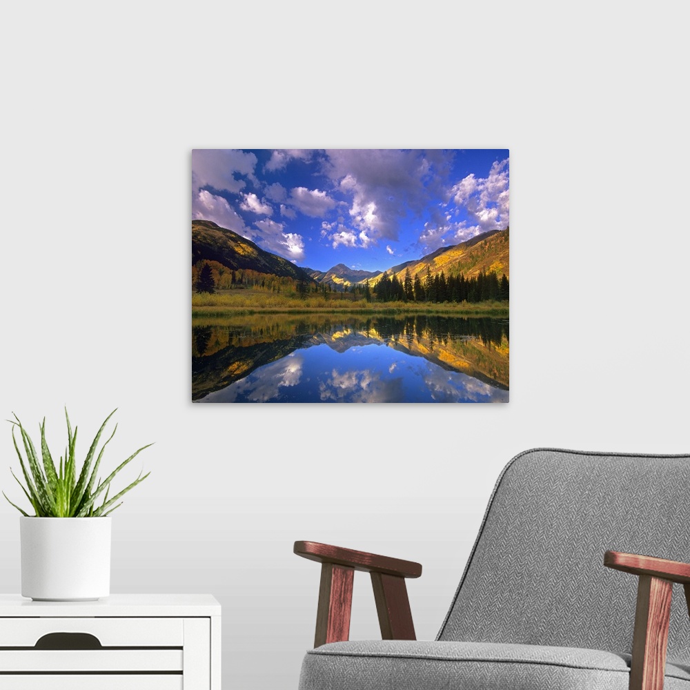 A modern room featuring Haystack Mountain reflected in beaver pond, Maroon Bells, Snowmass Wilderness, Colorado