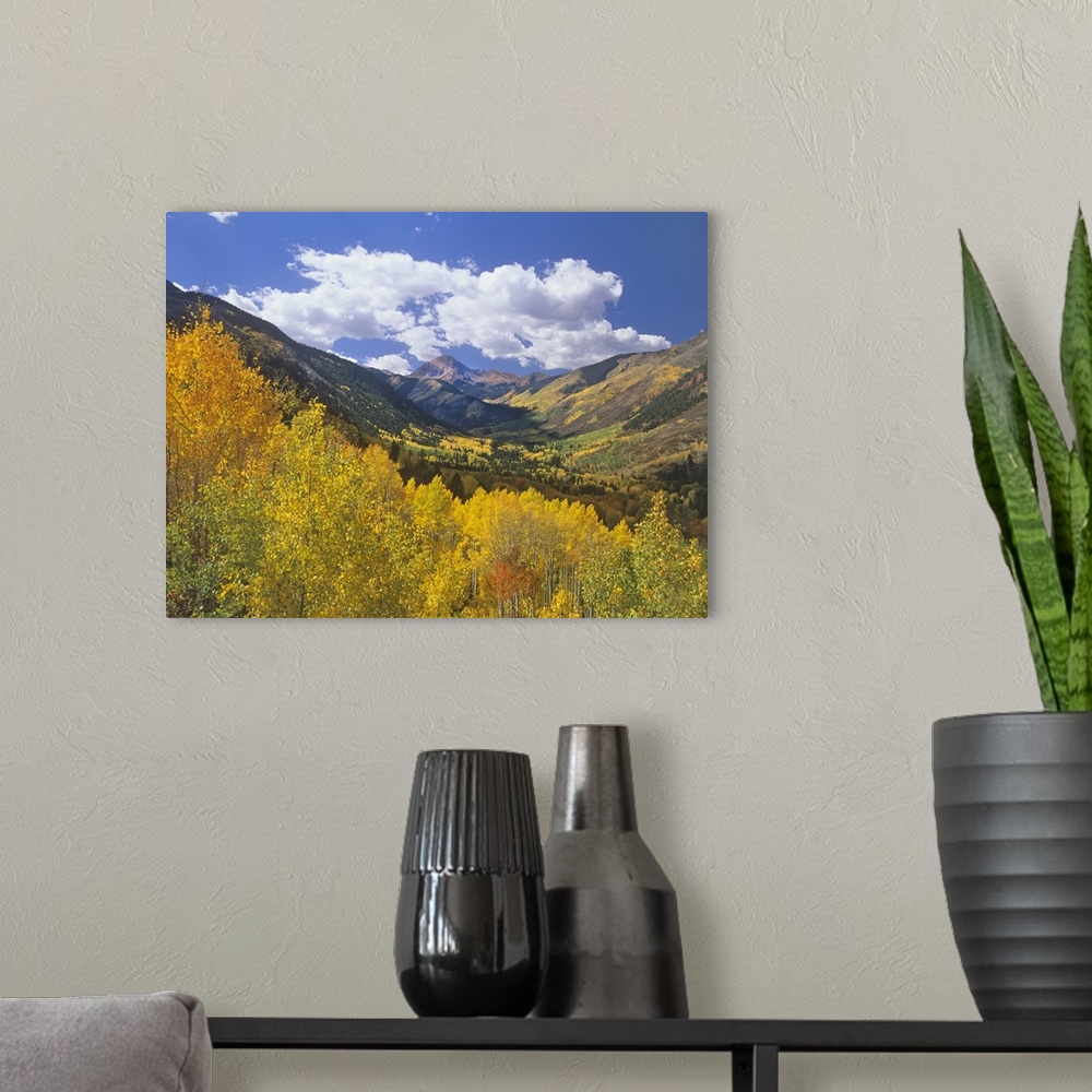 A modern room featuring Haystack Mountain with aspen forest, Maroon Bells-Snowmass Wilderness, Colorado