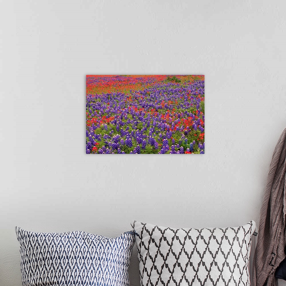 A bohemian room featuring This large piece is a picture taken of colorful flowers blanketing a vast open field.