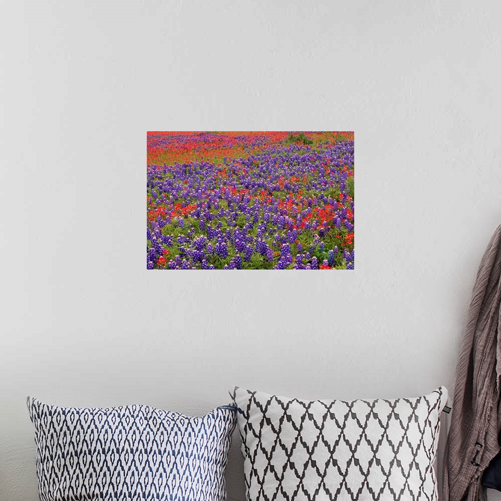 A bohemian room featuring This large piece is a picture taken of colorful flowers blanketing a vast open field.