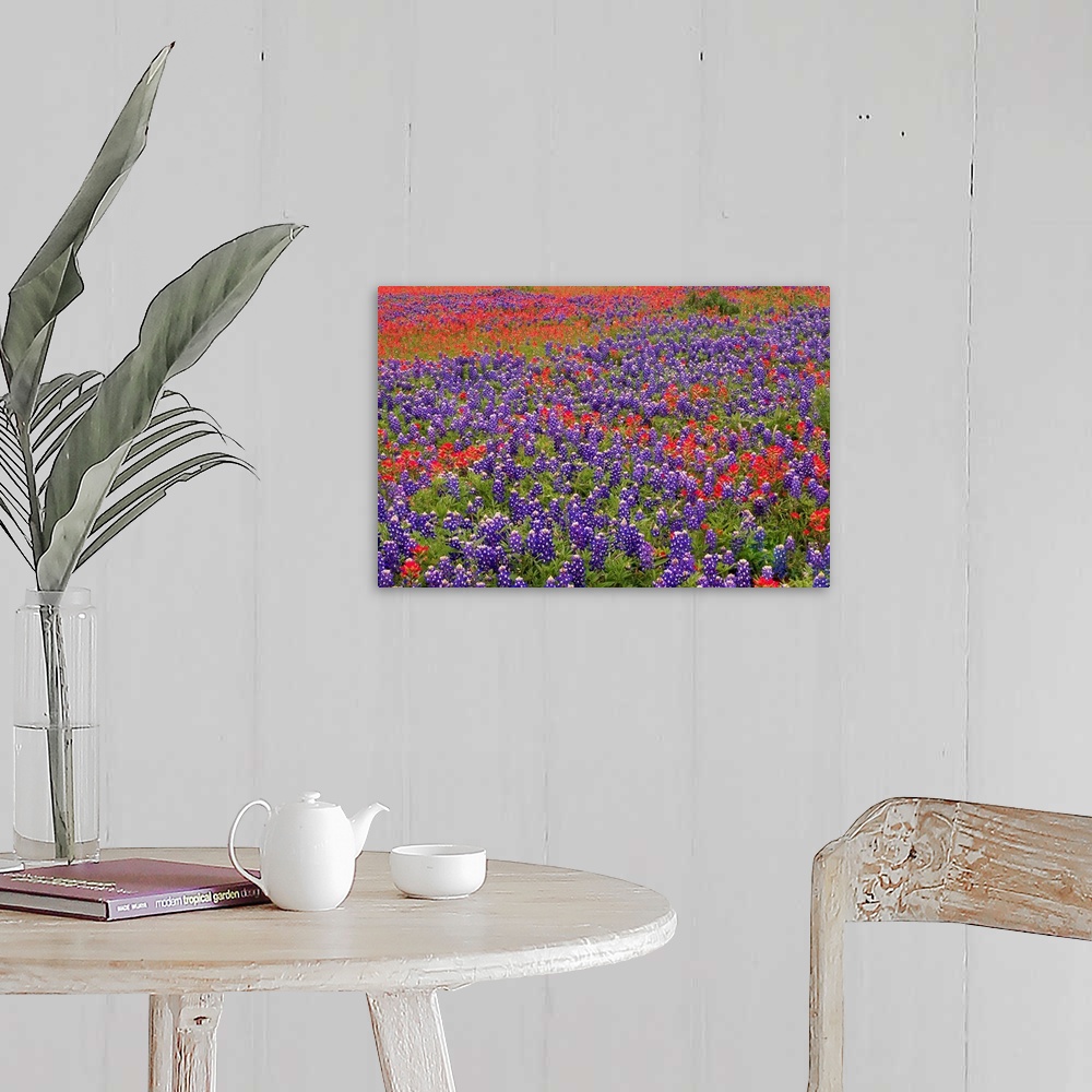A farmhouse room featuring This large piece is a picture taken of colorful flowers blanketing a vast open field.