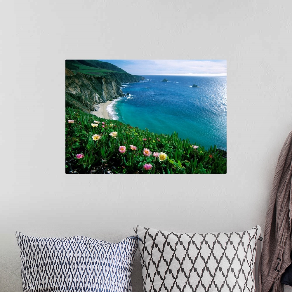A bohemian room featuring This wall art is a landscape photograph of wildflowers growing on a sea cliff overlooking a Pacif...