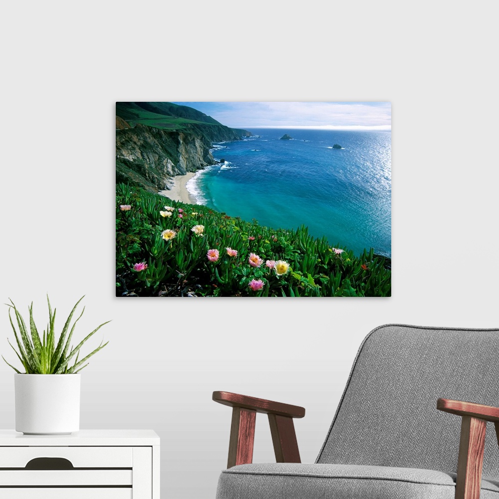 A modern room featuring This wall art is a landscape photograph of wildflowers growing on a sea cliff overlooking a Pacif...