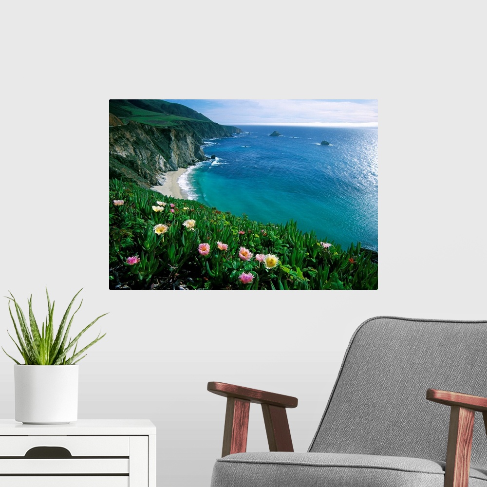 A modern room featuring This wall art is a landscape photograph of wildflowers growing on a sea cliff overlooking a Pacif...
