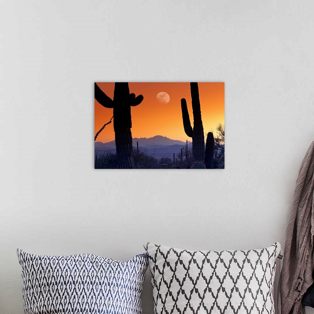 A bohemian room featuring Big canvas photo of cacti silhouetted against a sunset in the desert with a big moon.