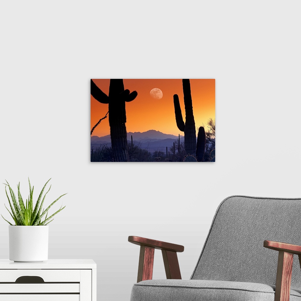 A modern room featuring Big canvas photo of cacti silhouetted against a sunset in the desert with a big moon.