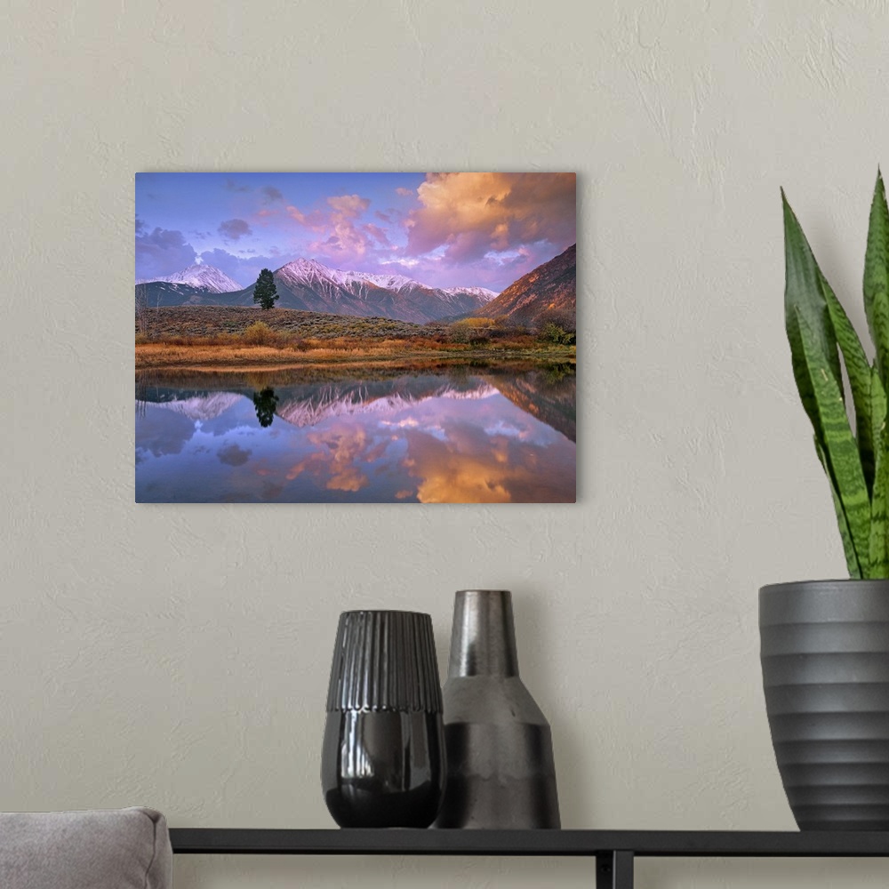 A modern room featuring La Plata and Twin Peaks reflected in Twin Lakes with a lone tree, Colorado